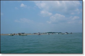 Boats on the beach